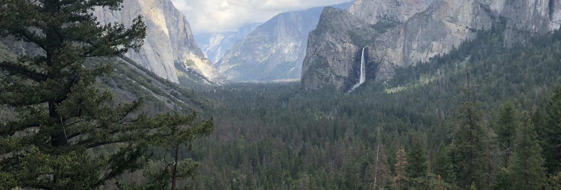 Bannière Bonnes nouvelles et germe d'espoir