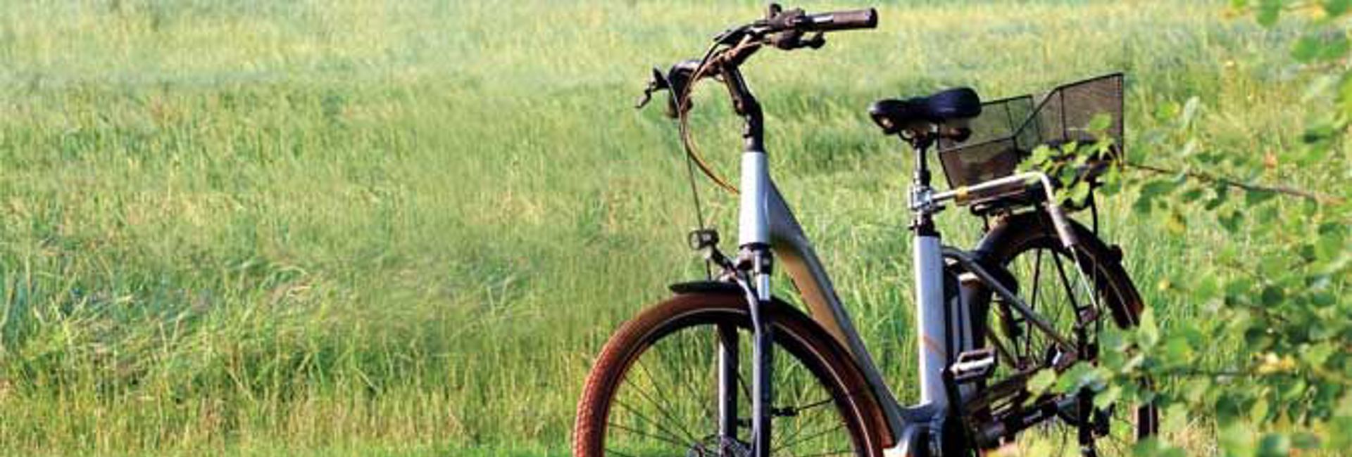 Bannière Vélos électriques