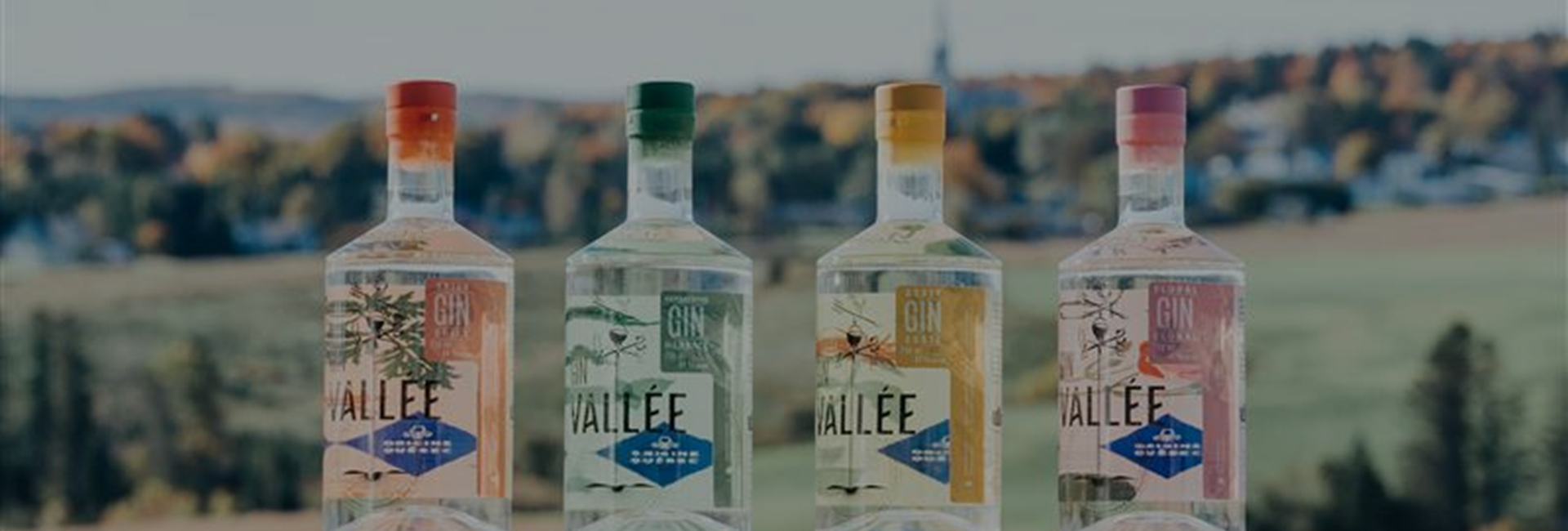 Bannière Petit séjour dans la cour des distilleries