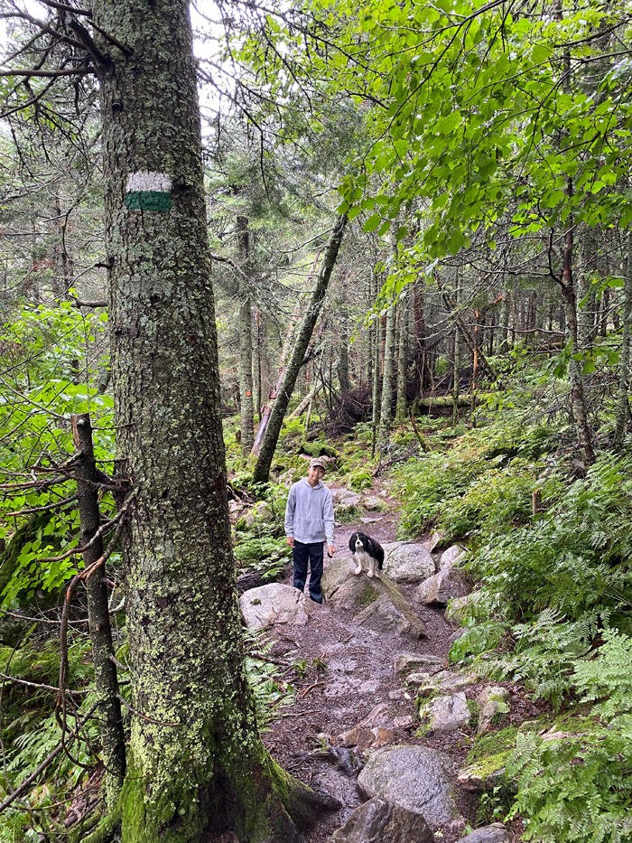 Les chiens sont admis dans les sentiers de randonnée de la station touristique Mont-Tremblant, tout près - Camping Caravaning Les chiens sont admis dans les sentiers de randonnée de la station touristique Mont-Tremblant, tout près - Camping Caravaning