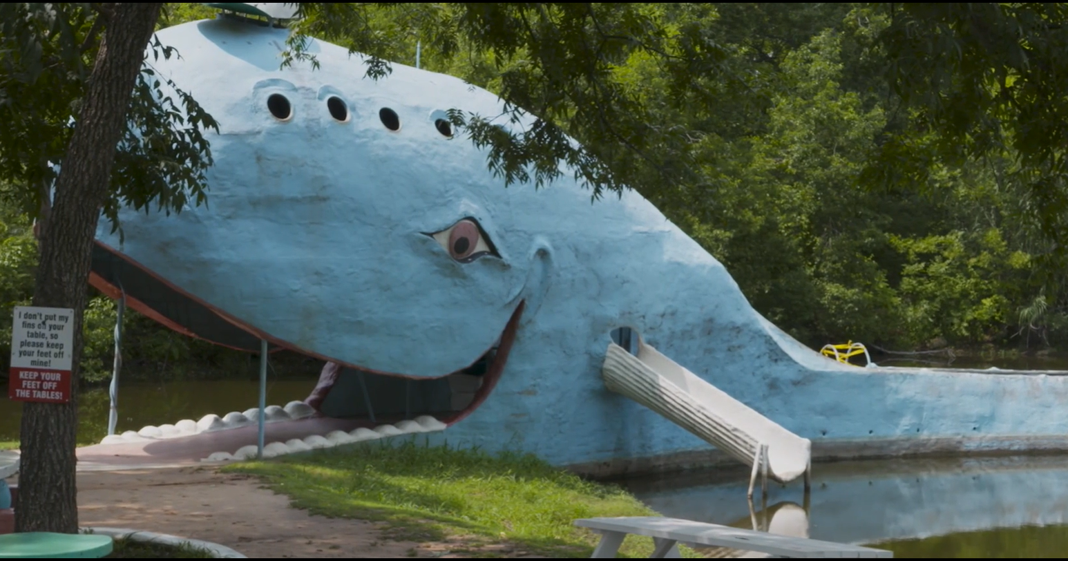 Baleine bleue - Magazine Camping Caravaning