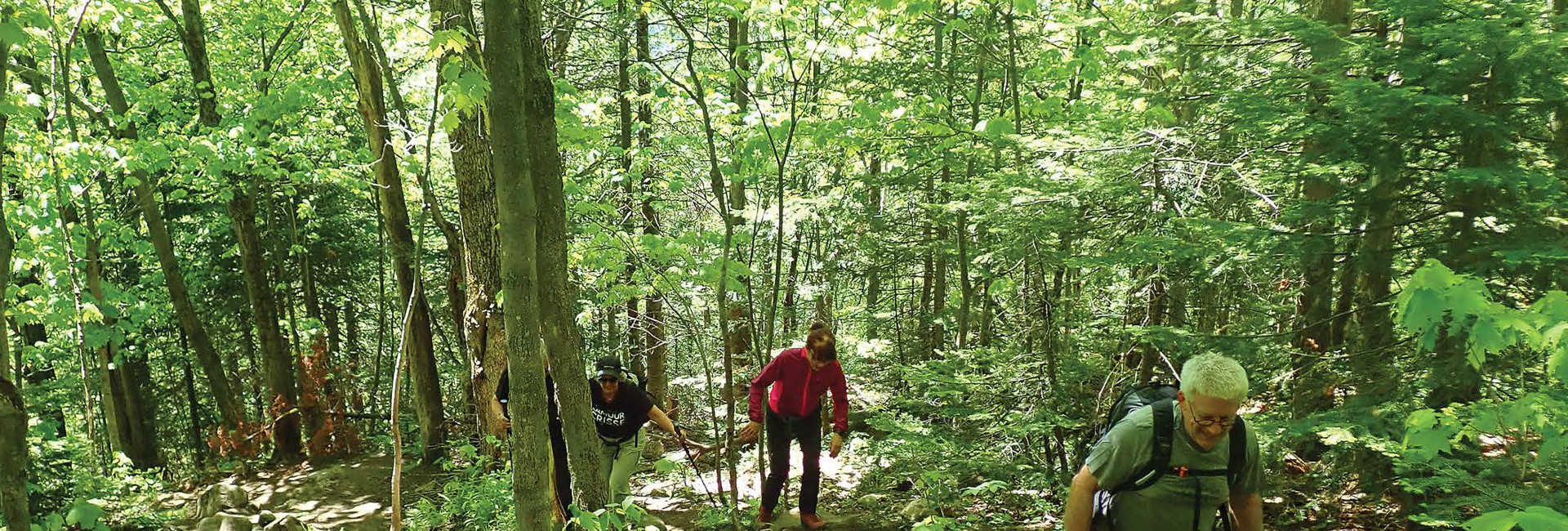 Bannière Le monde des sommets