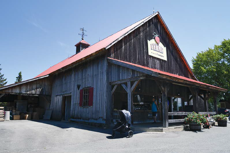 La Ferme Couture, où il est possible de faire l’autocueillette de fraises et de framboises. - Camping Caravaning La Ferme Couture, où il est possible de faire l’autocueillette de fraises et de framboises. - Camping Caravaning