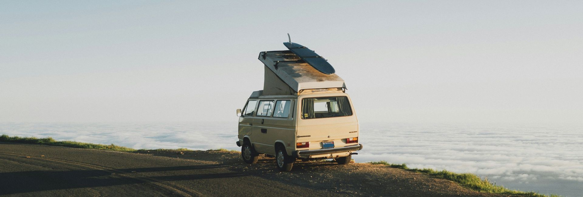 Bannière Ils poussent un peu partout