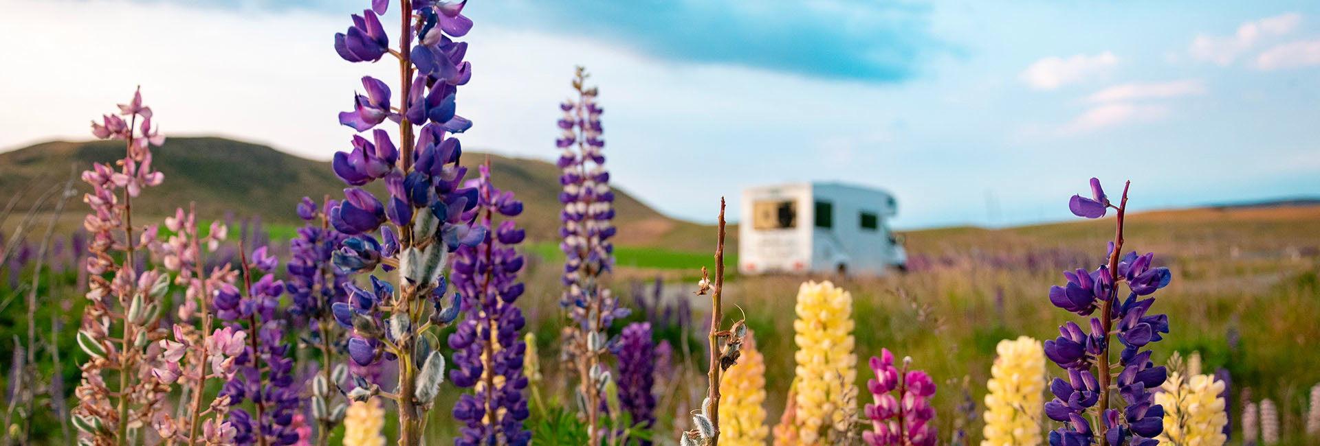Bannière Humidité dans la tente