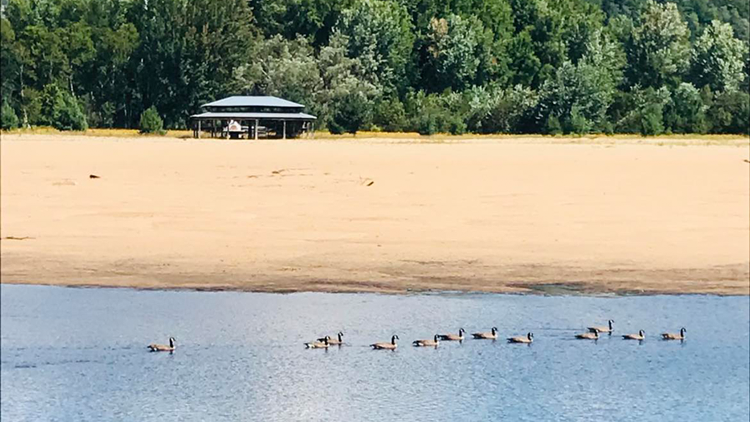 L’immense plage, joyau de l’établissement. - Camping Caravaning L’immense plage, joyau de l’établissement. - Camping Caravaning